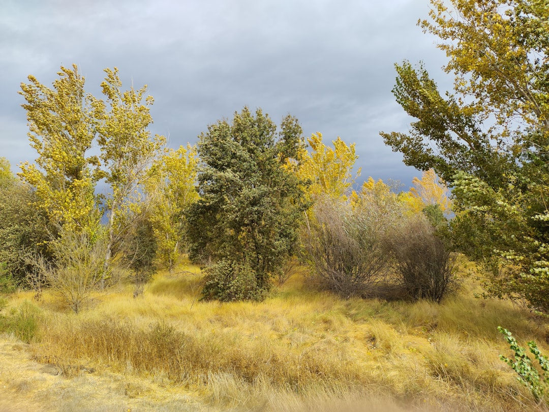 Photo Dry air