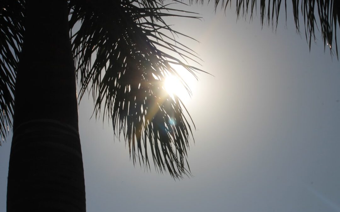 Photo Sunburn relief
