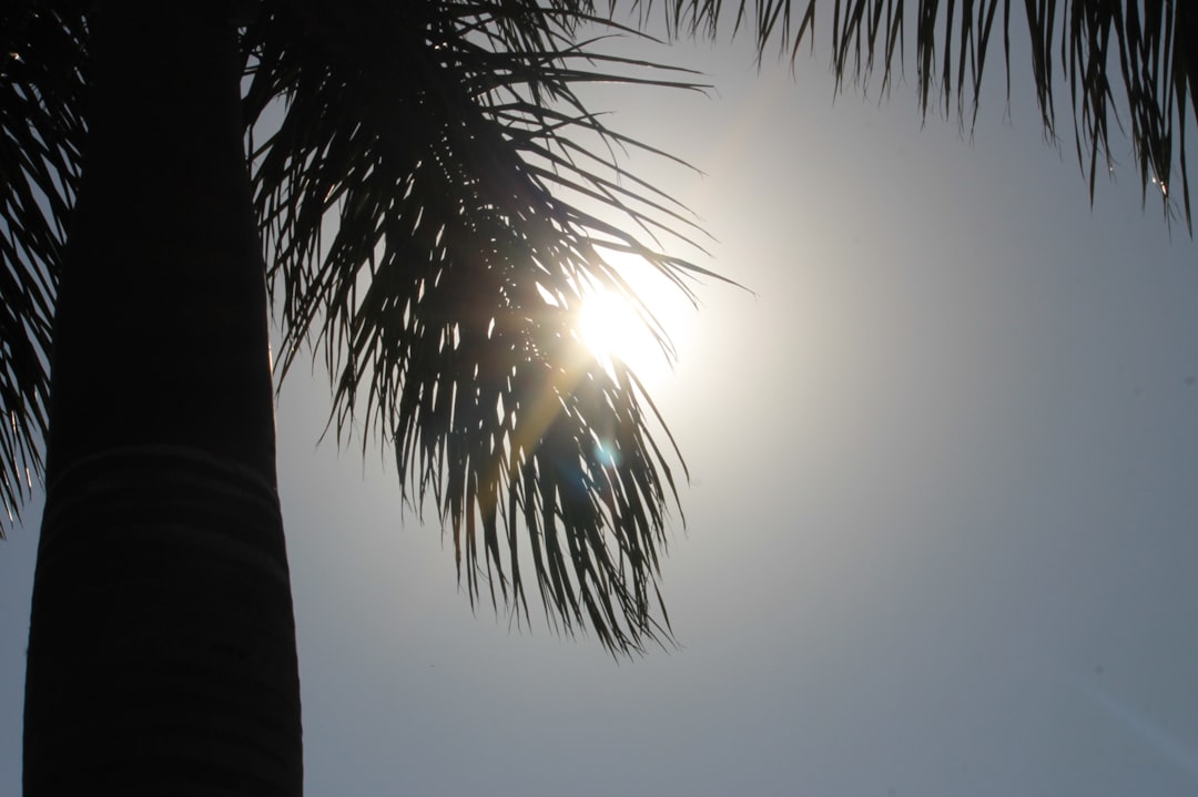 Photo Sunburn relief