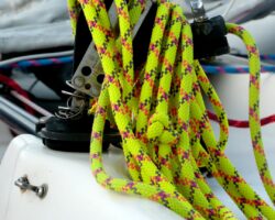 Photo Safety harness