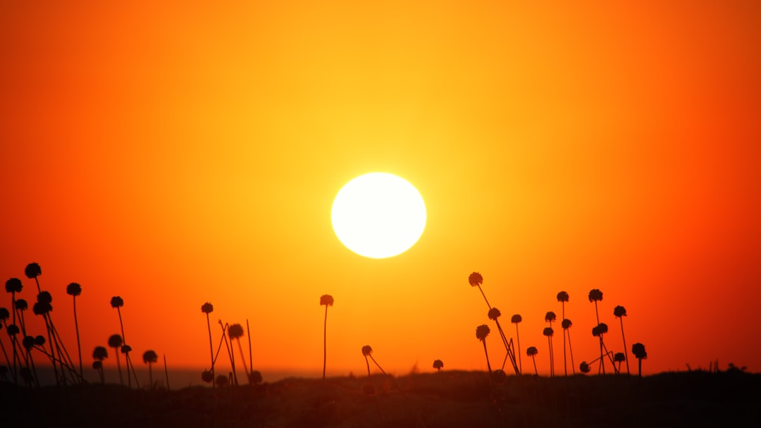 Photo Sunburn dizziness