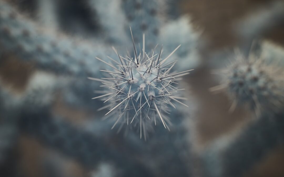 Photo Virus comparison