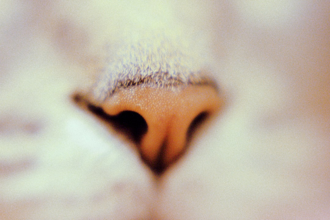 Photo Runny nose