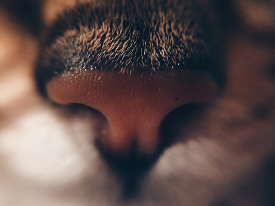 Photo Runny nose