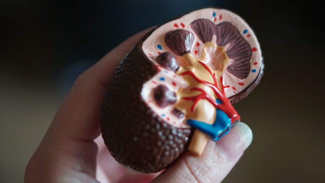 Photo Kidney damage