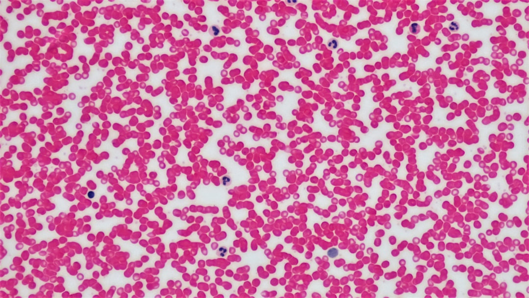 Photo Low white blood cells