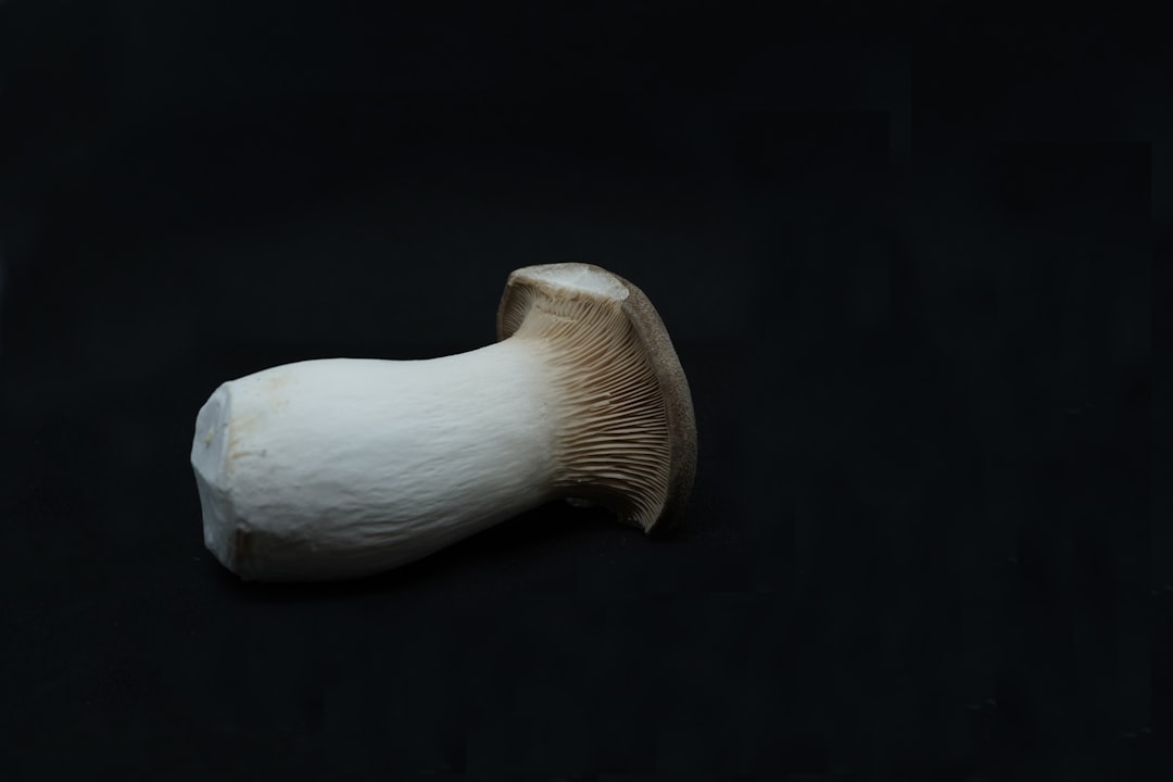 Photo Bone marrow