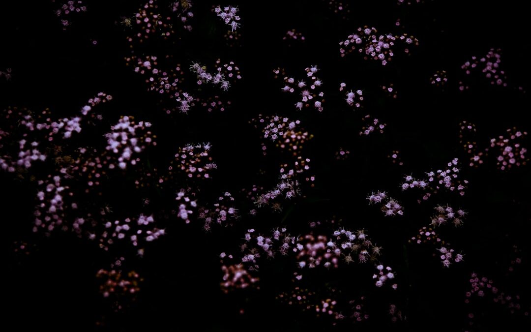 Photo Lysosome dysfunction