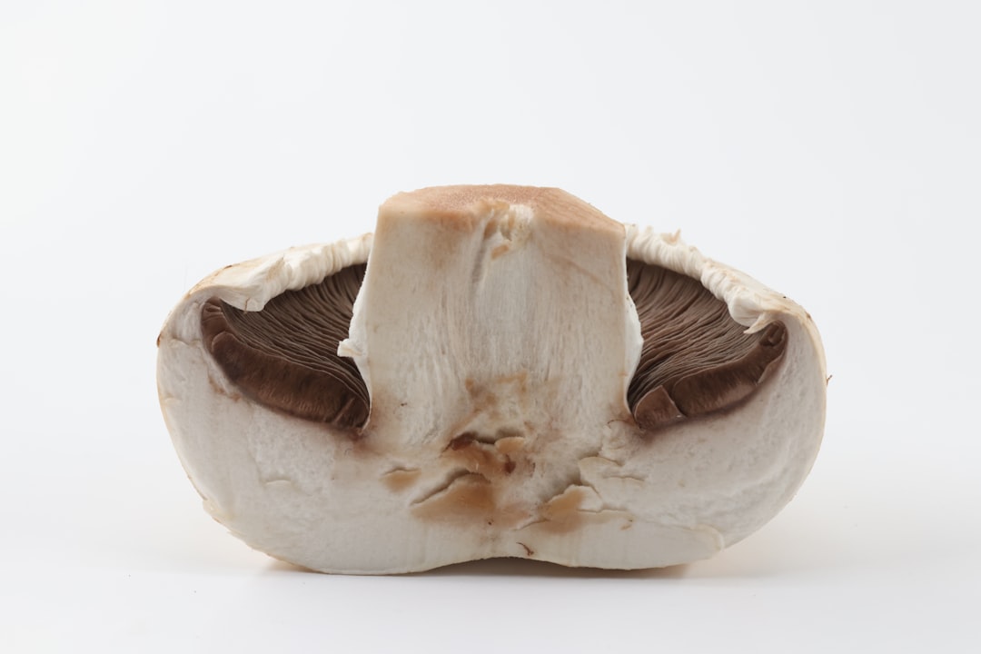 Photo Bone marrow