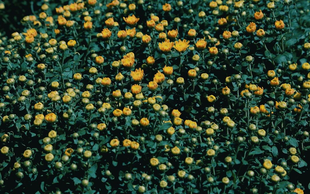 Photo Pollen-covered tissue
