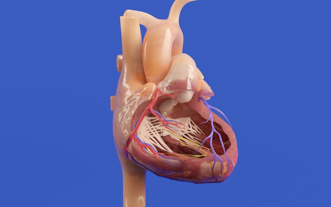 Photo Medical illustration