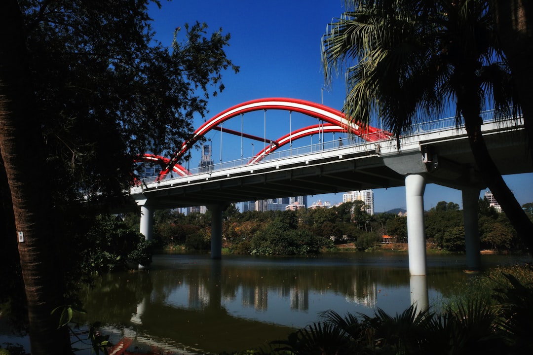 Photo Neck bridge