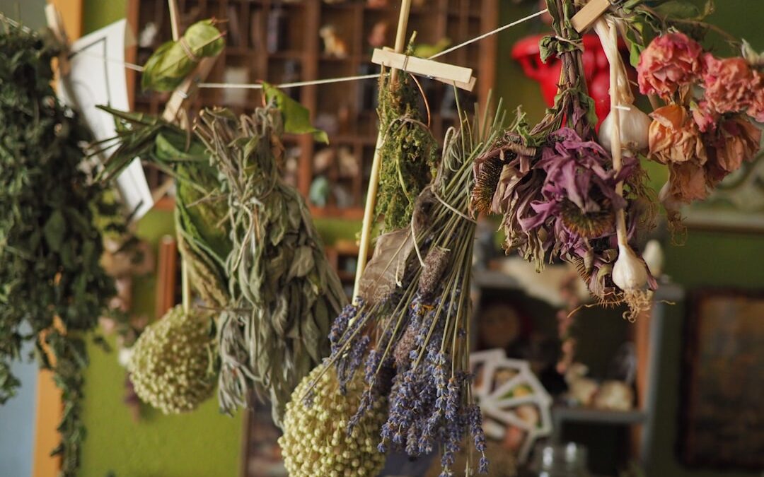 Photo Herbal remedies