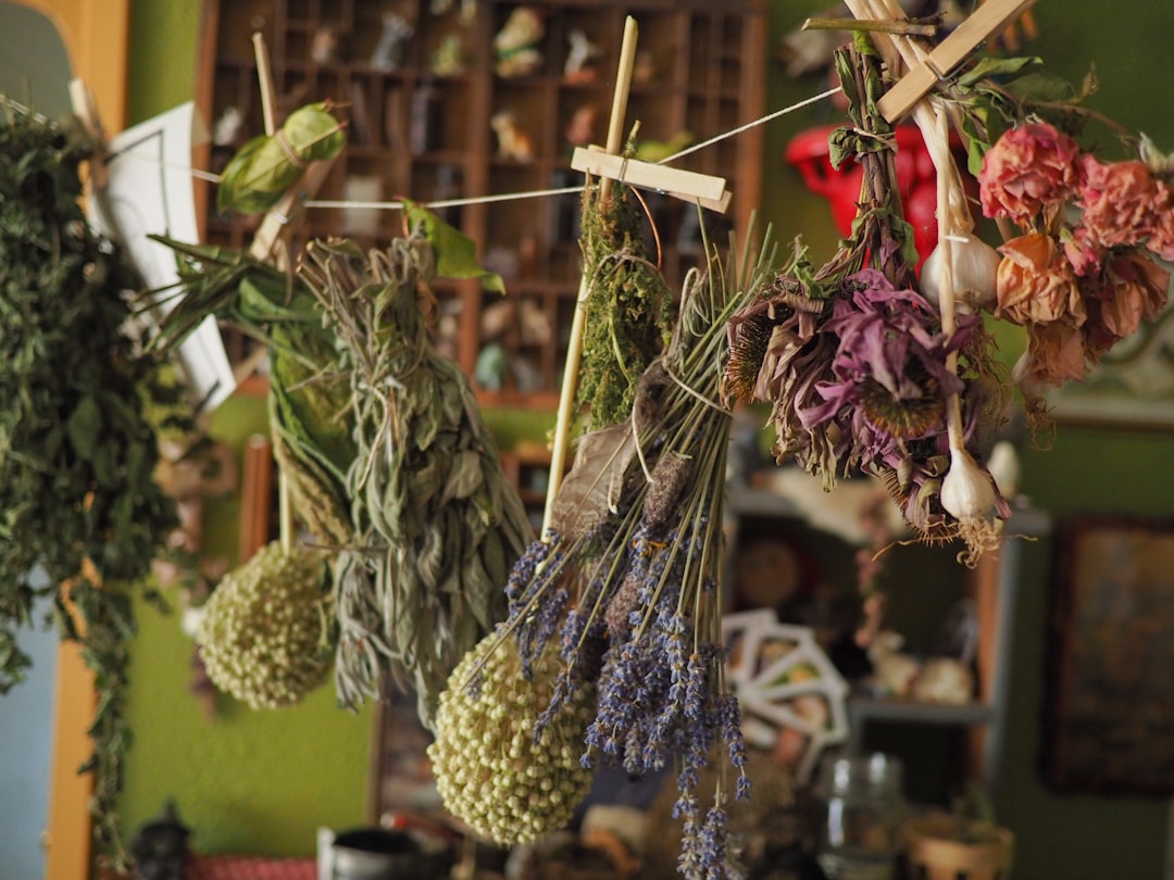 Photo Herbal remedies
