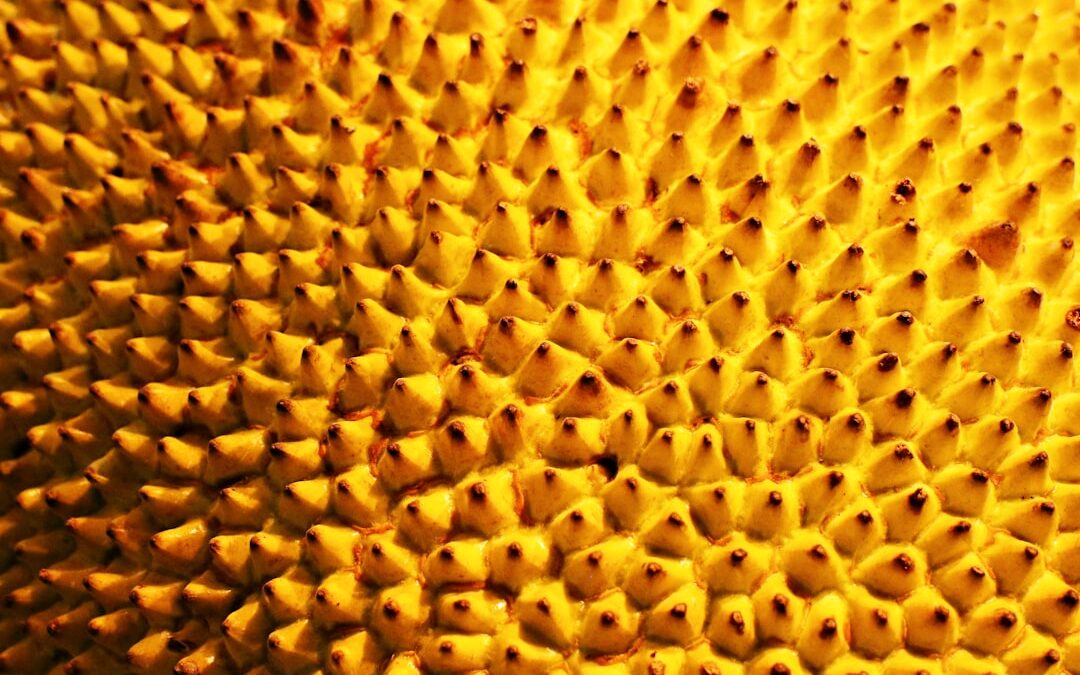 Photo Pollen-covered tissue