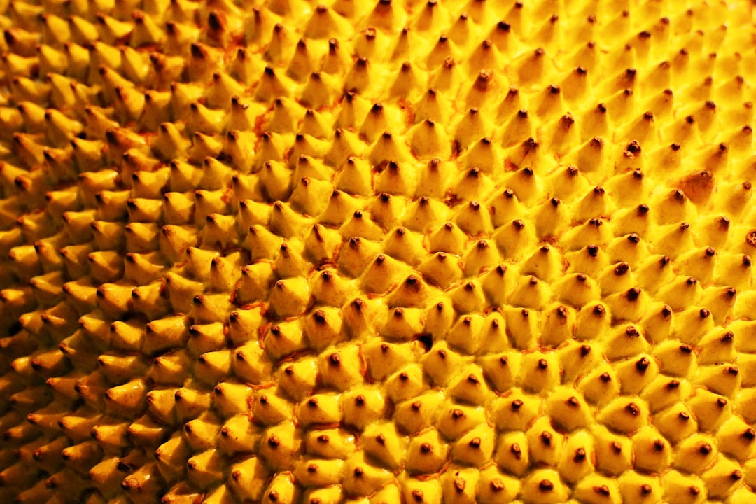 Photo Pollen-covered tissue