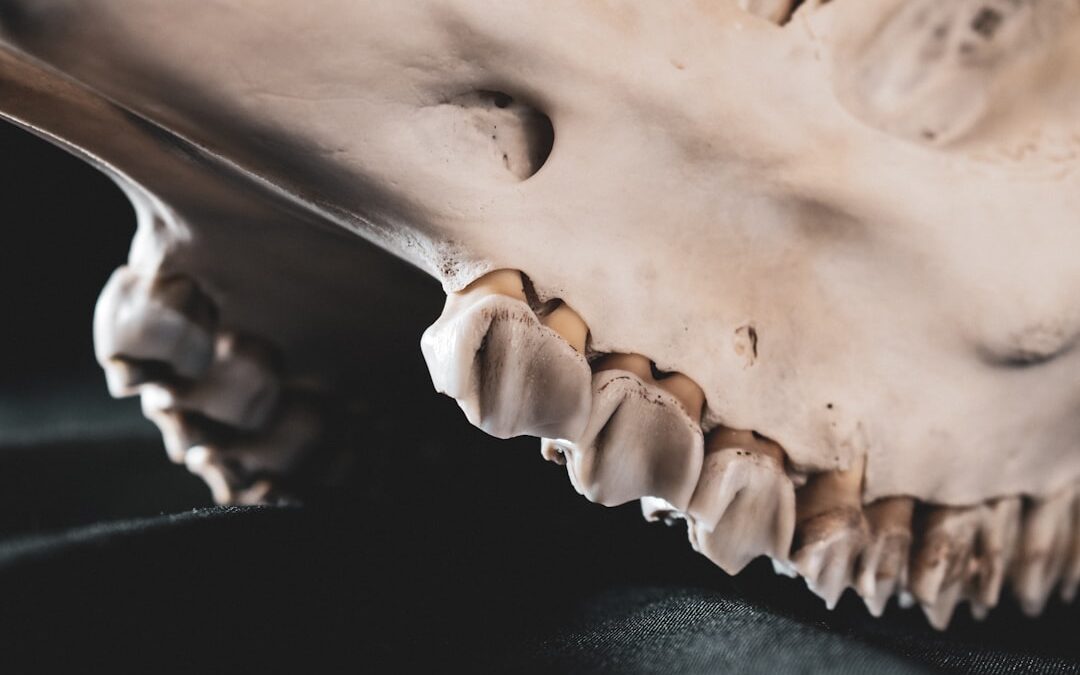 Photo Swollen joints