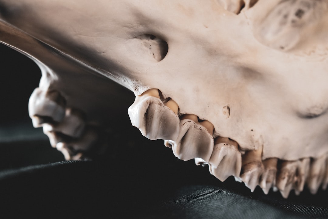 Photo Swollen joints