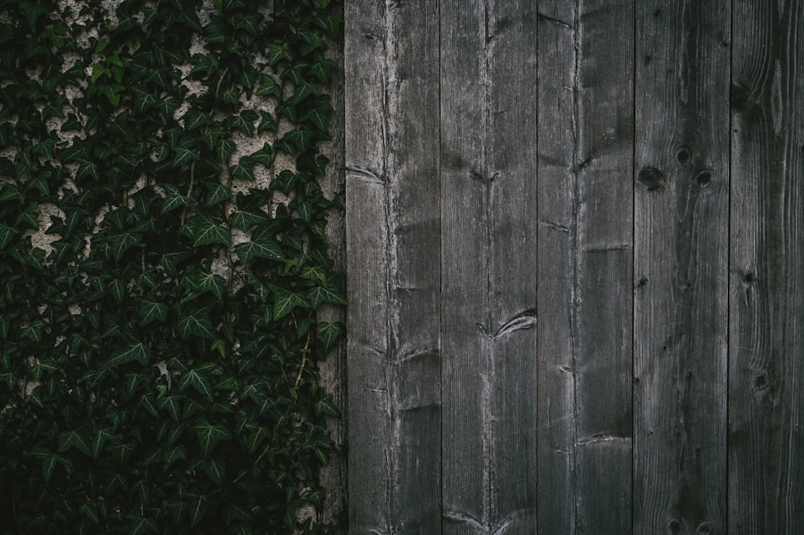 Szem sérülés kezelése: hatékony módszerek és tanácsok Eye drops