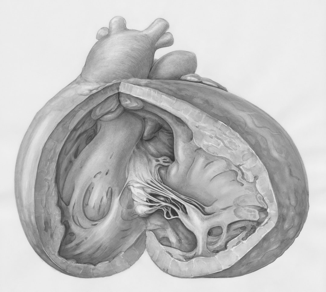 Photo Heart illustration