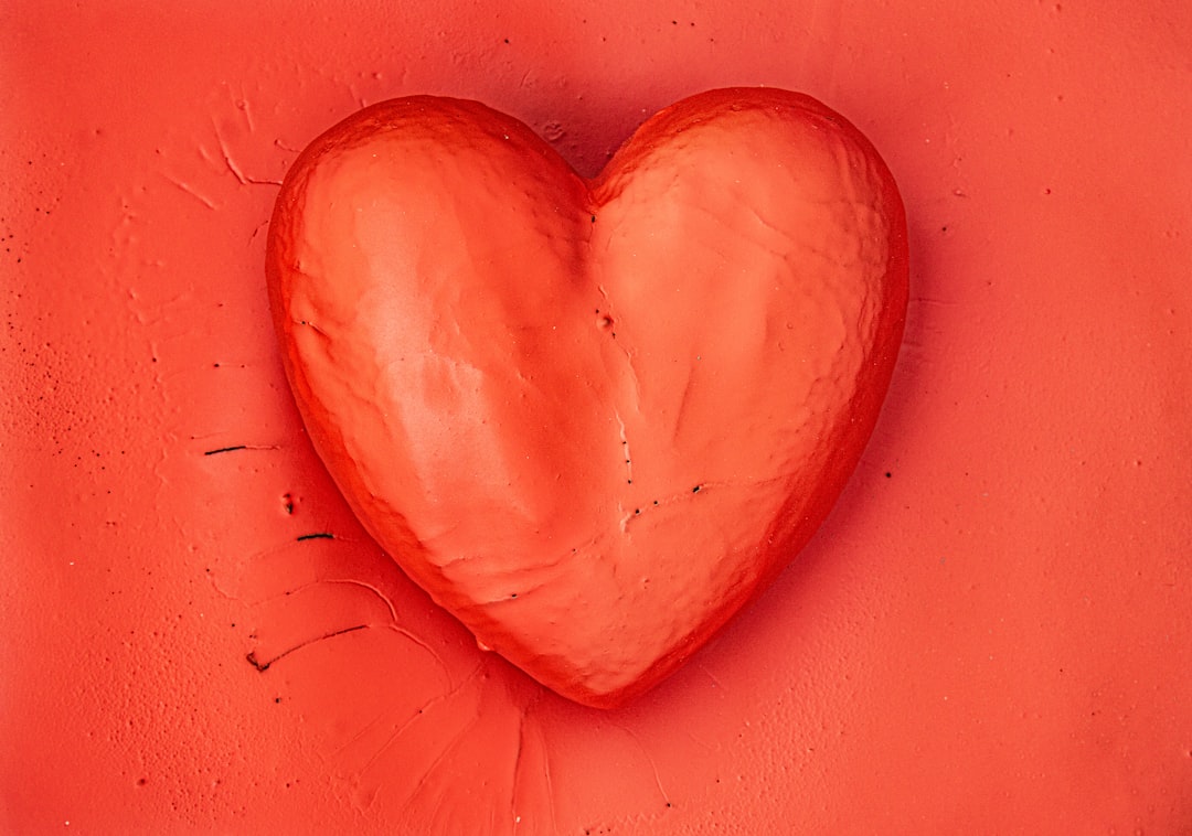 Photo Heart diagram
