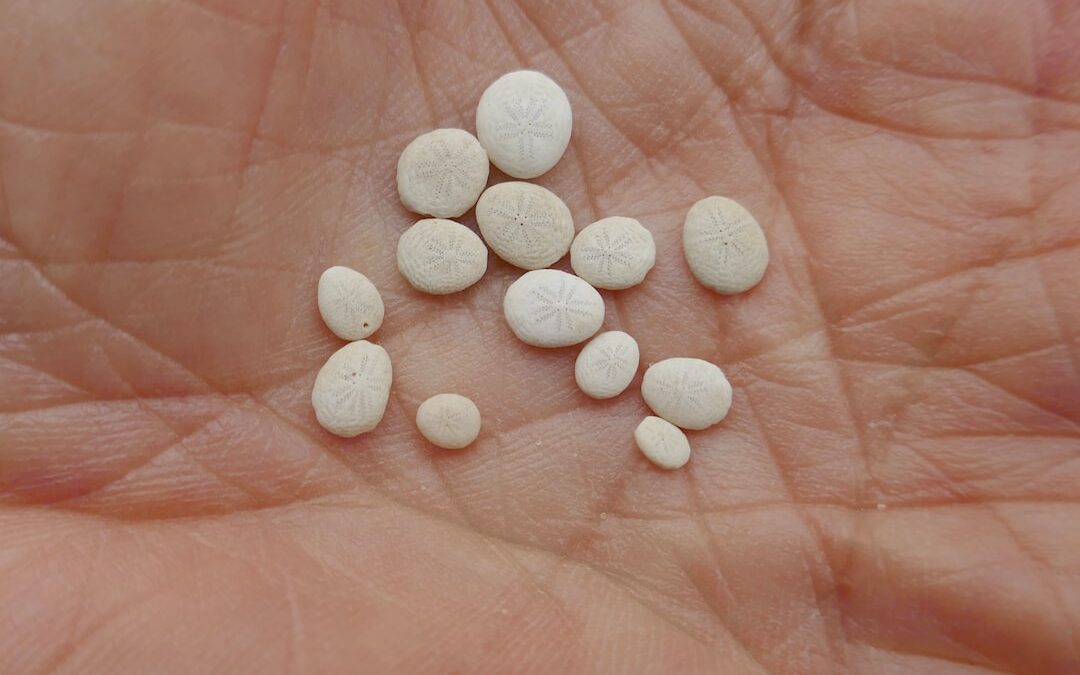 Photo Childrens aspirin