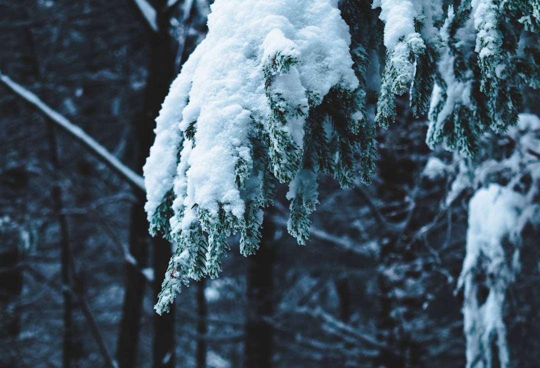 Photo Cold relief