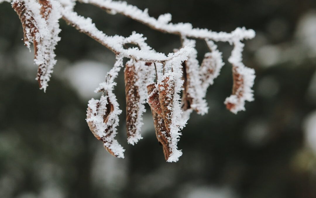 Photo Cold relief