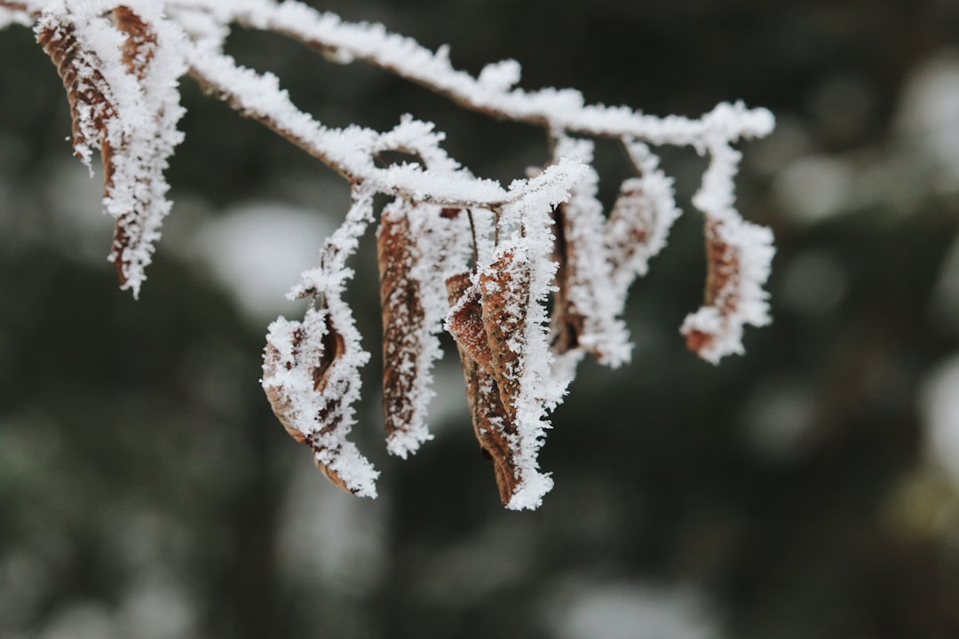 Photo Cold relief