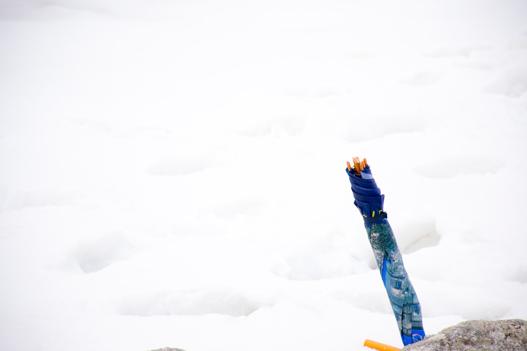Photo Freezing pen