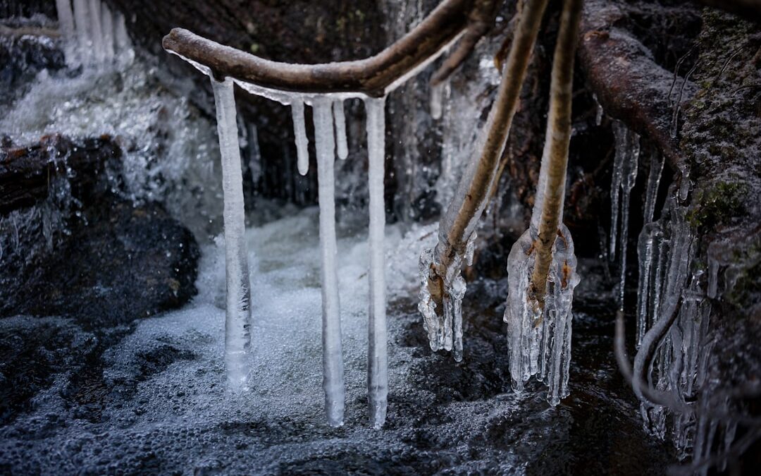 Photo Freezing treatment