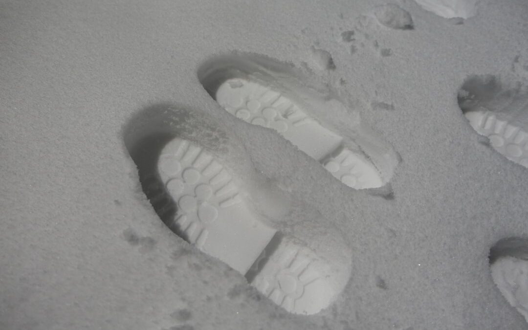 Photo Frozen chicken feet