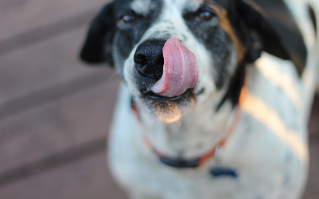 Photo Tongue with wart