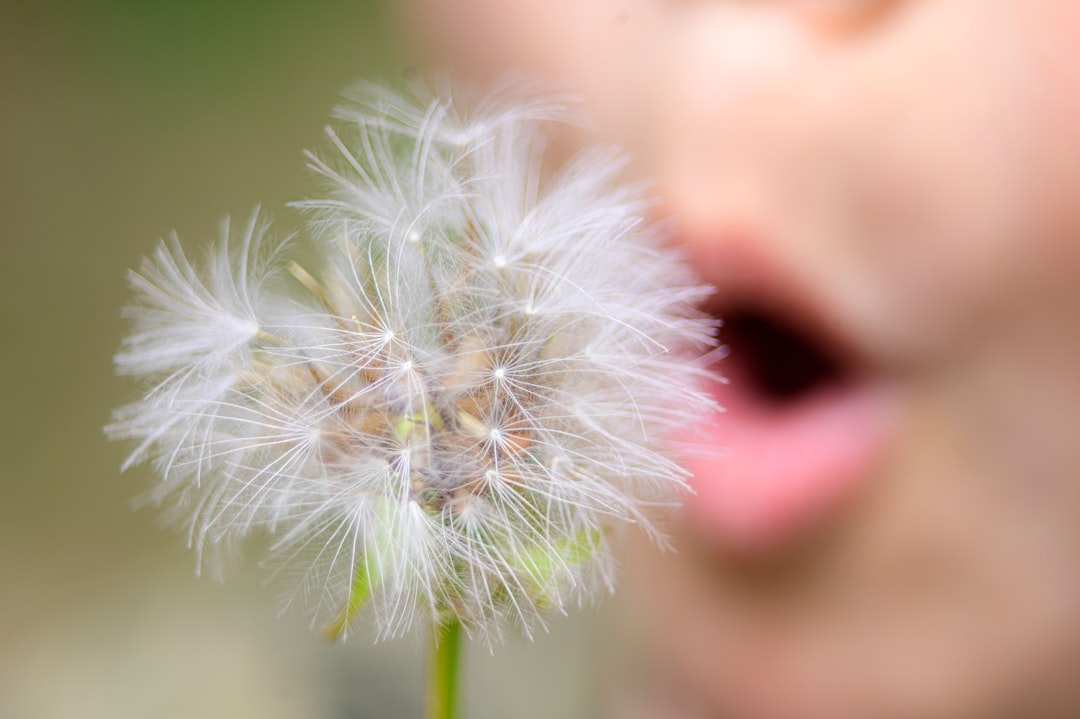 Photo Hay fever spray