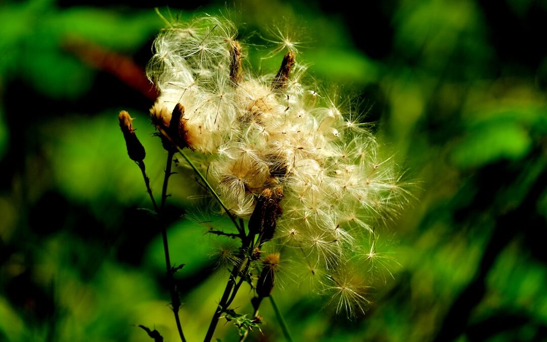 Photo Hay fever symptoms