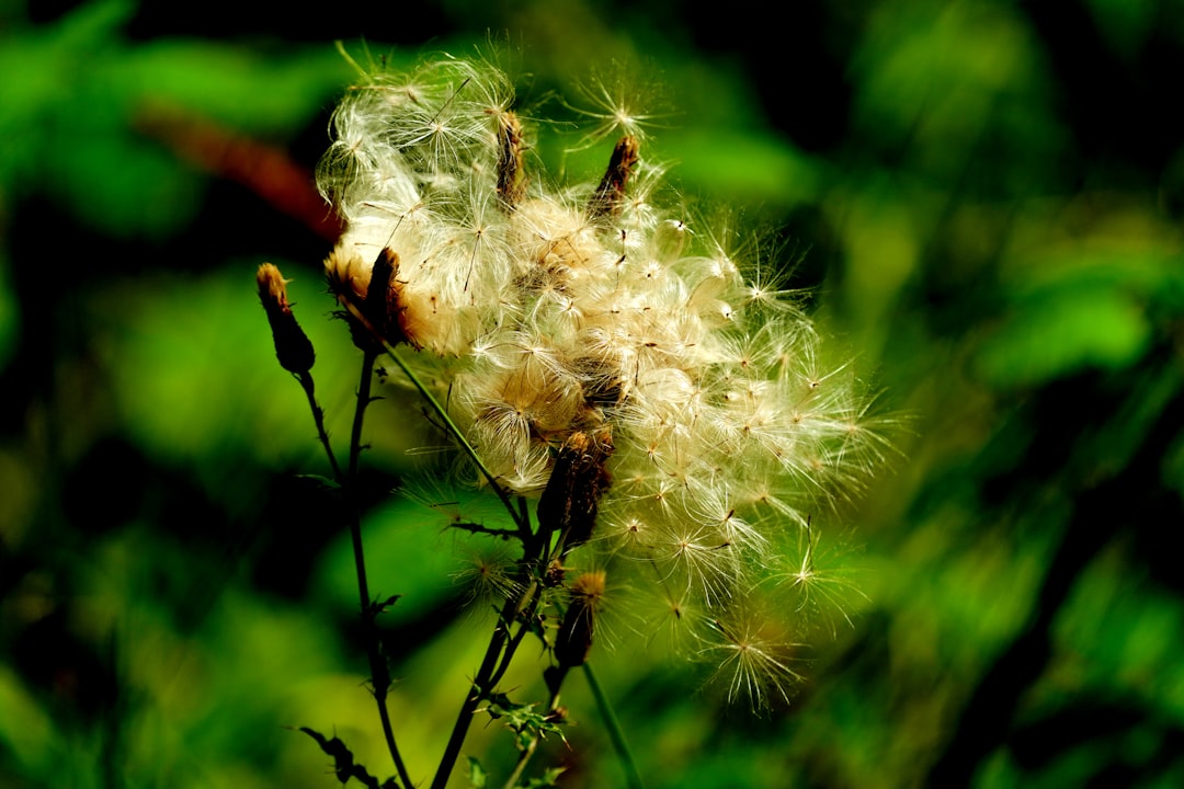 Photo Hay fever symptoms
