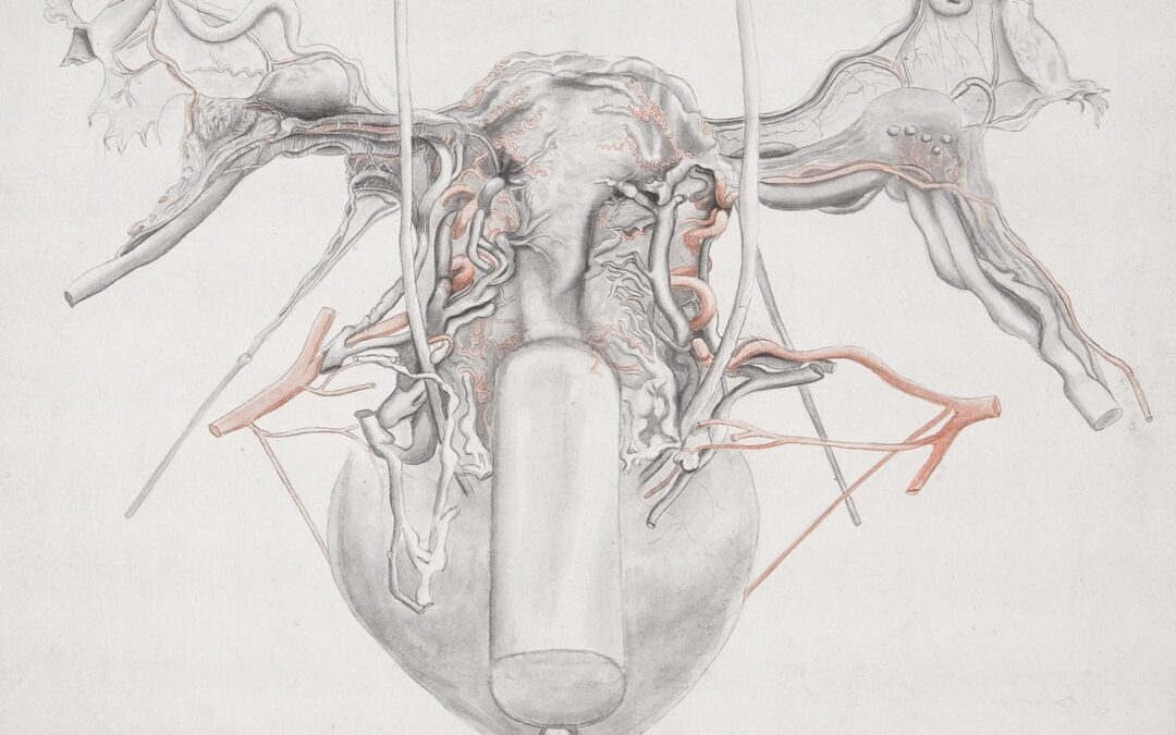 Photo Medical diagram