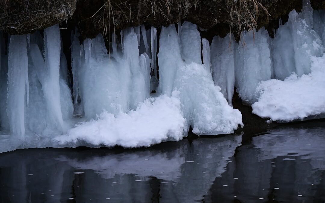 Photo Freezing process