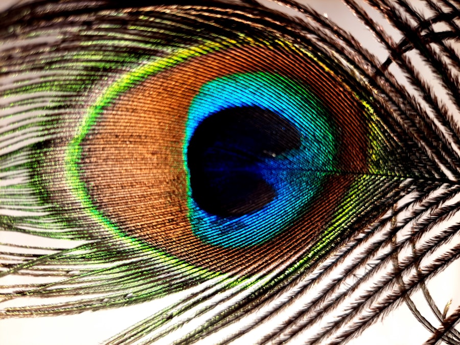 Photo Eye chart