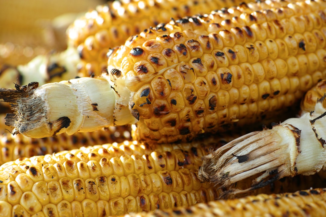 Photo Wart or corn images