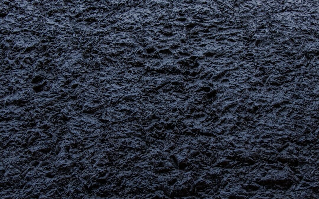 Photo Black wart
