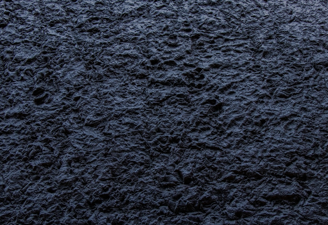 Photo Black wart
