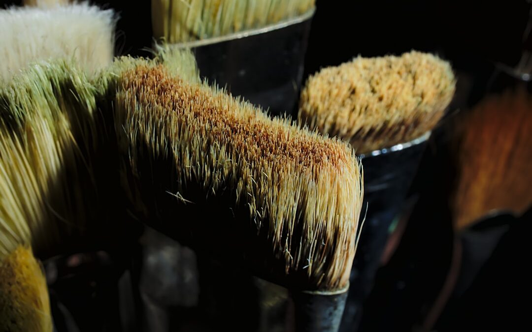 Photo Cleaning brush