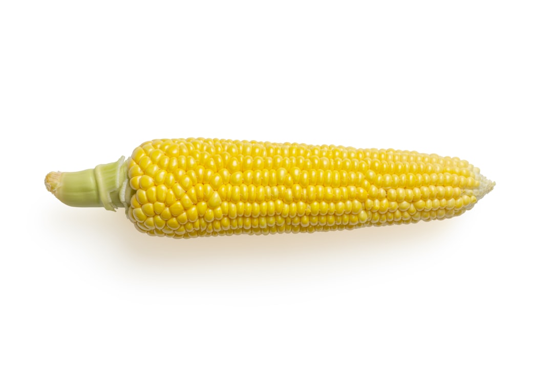 Photo Corn plaster