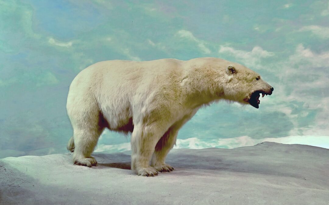 Photo Animal extinction