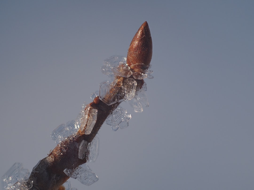 Photo Freezing pen