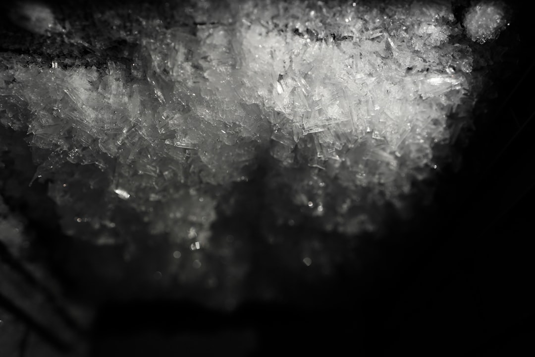 Photo Orally disintegrating tablet