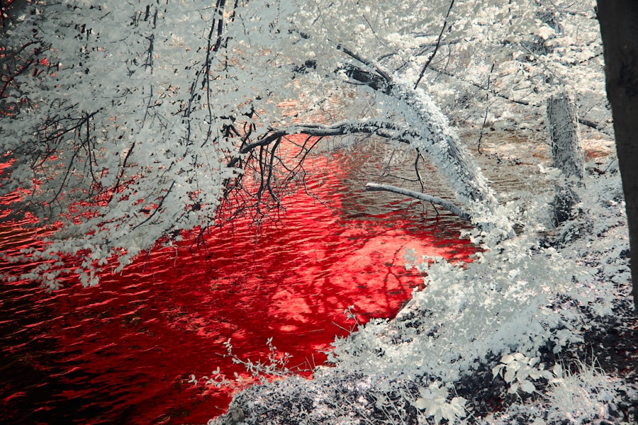 Photo Vérmétely terjedése - 