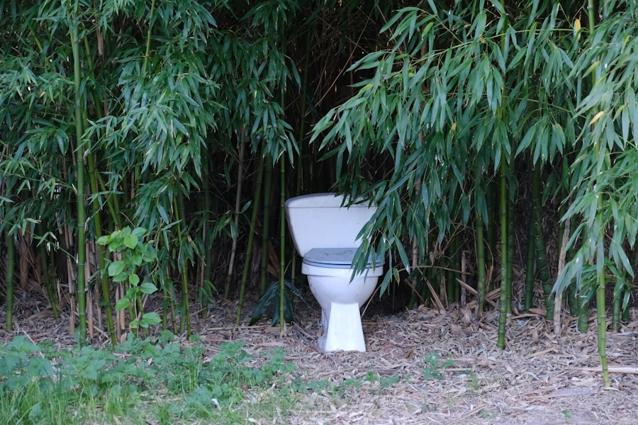 Photo treatment of diarrhea