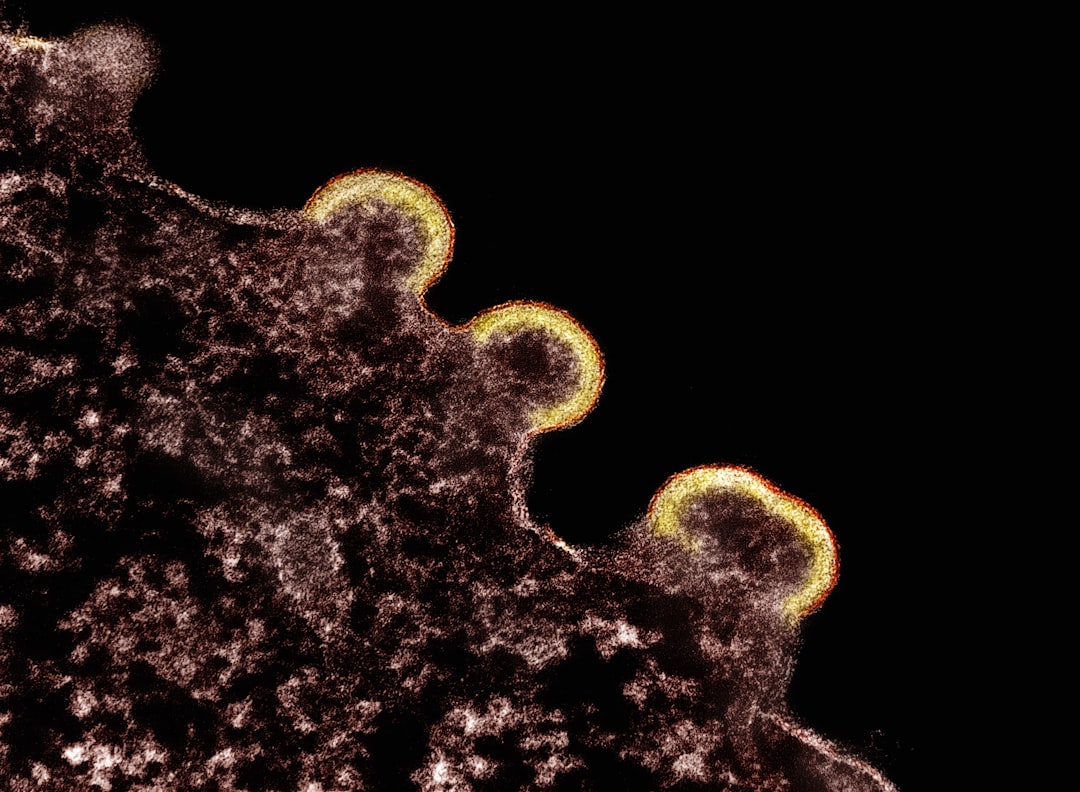Photo herpes virus treatment